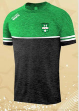Load image into Gallery viewer, T-Shirt - Castlemitchell GAA
