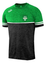 Load image into Gallery viewer, T-Shirt - Castlemitchell GAA
